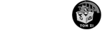 تامزی